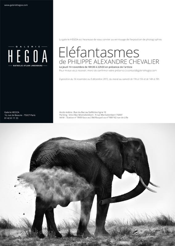 Exposition ‘ELEFANTASME’ Galerie HEGOA
